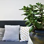Badi Appartement